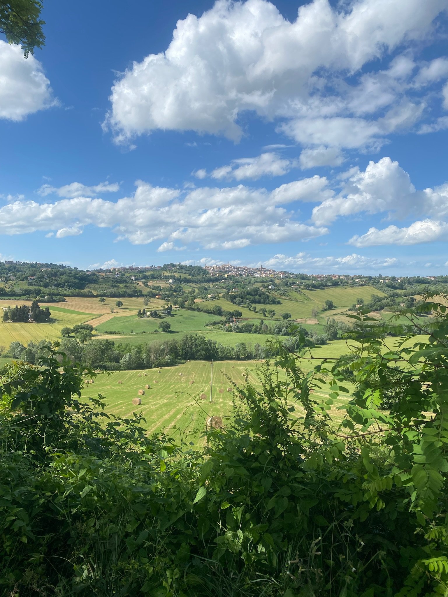 Glooiend heuvellandschap van Le Marche