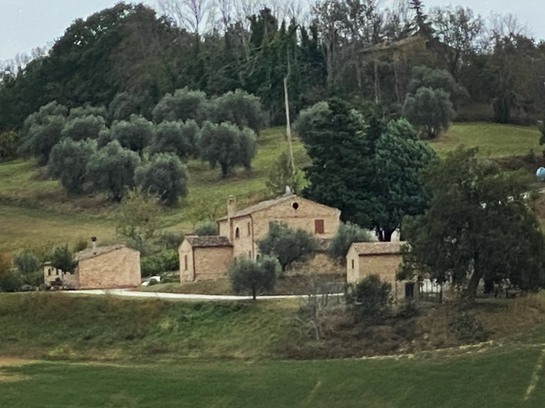 Il Casale del Quadrifoglio tussen de olijfbomen op een heuvel bij Corridonia, Le Marche